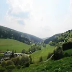 Large Holiday Home In Willingen With Private Garden And Several Terraces