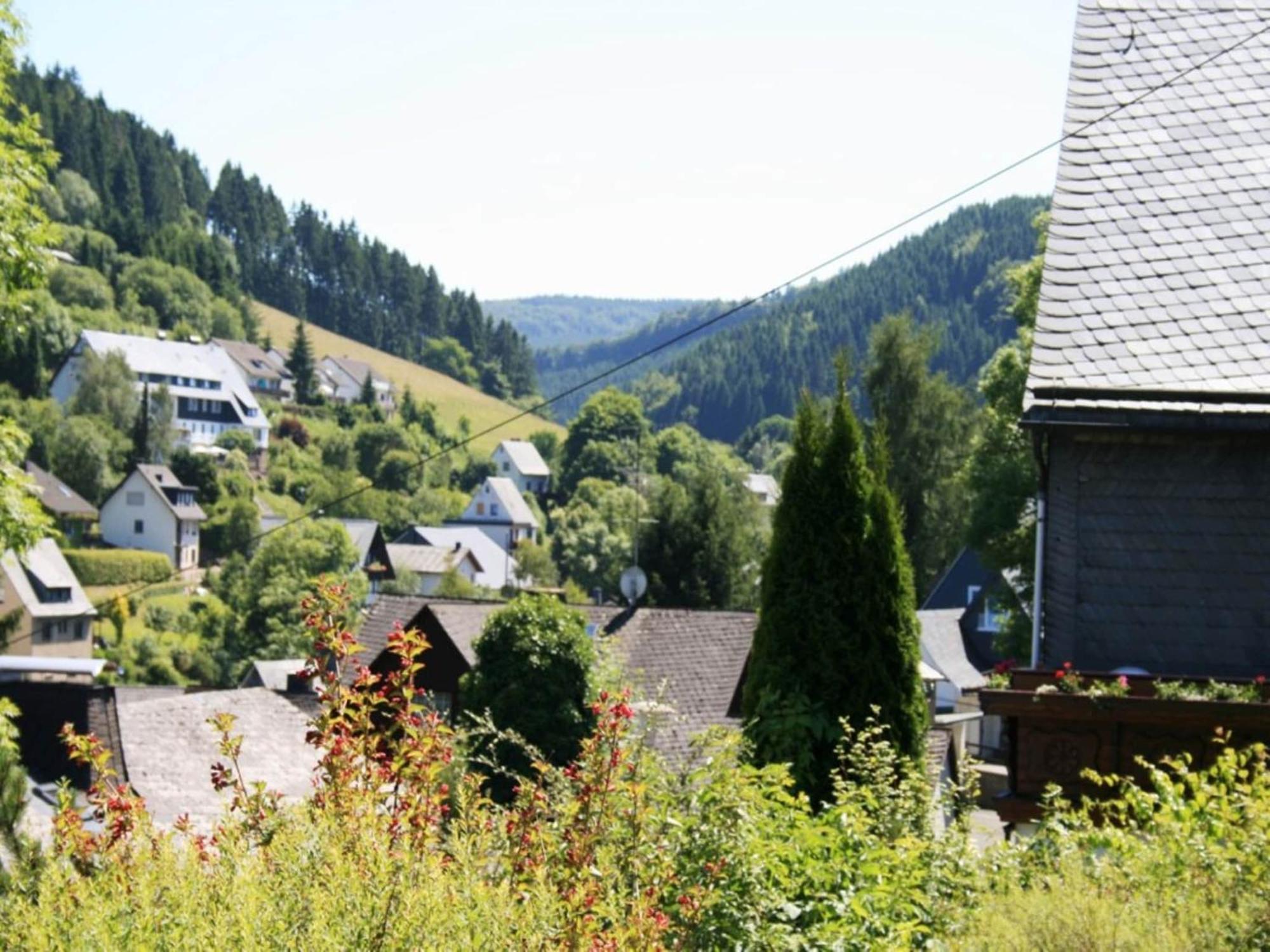 Ferienhaus Large In Willingen With Private Garden And Several Terraces