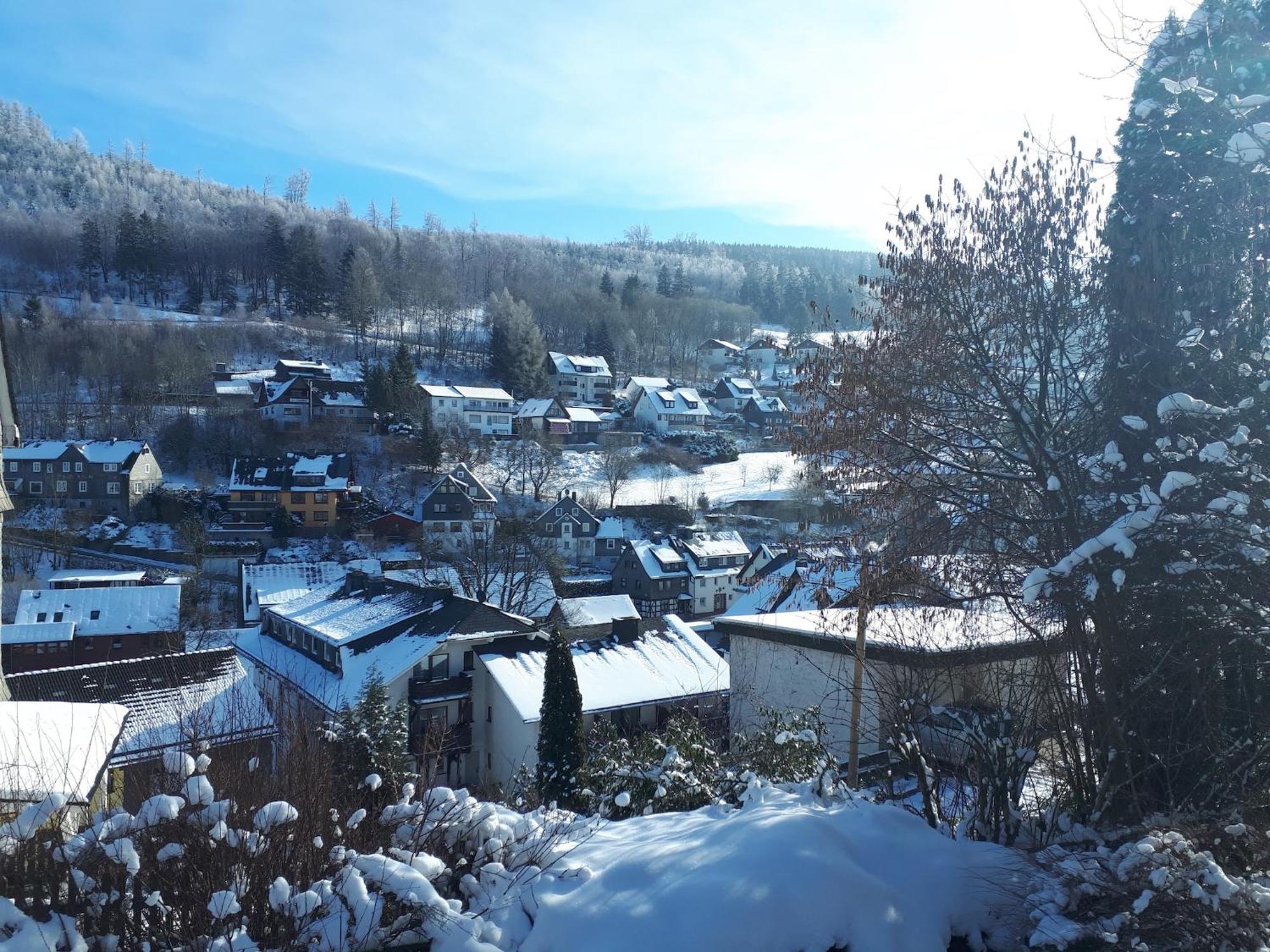 Large In Willingen With Private Garden And Several Terraces Ferienhaus