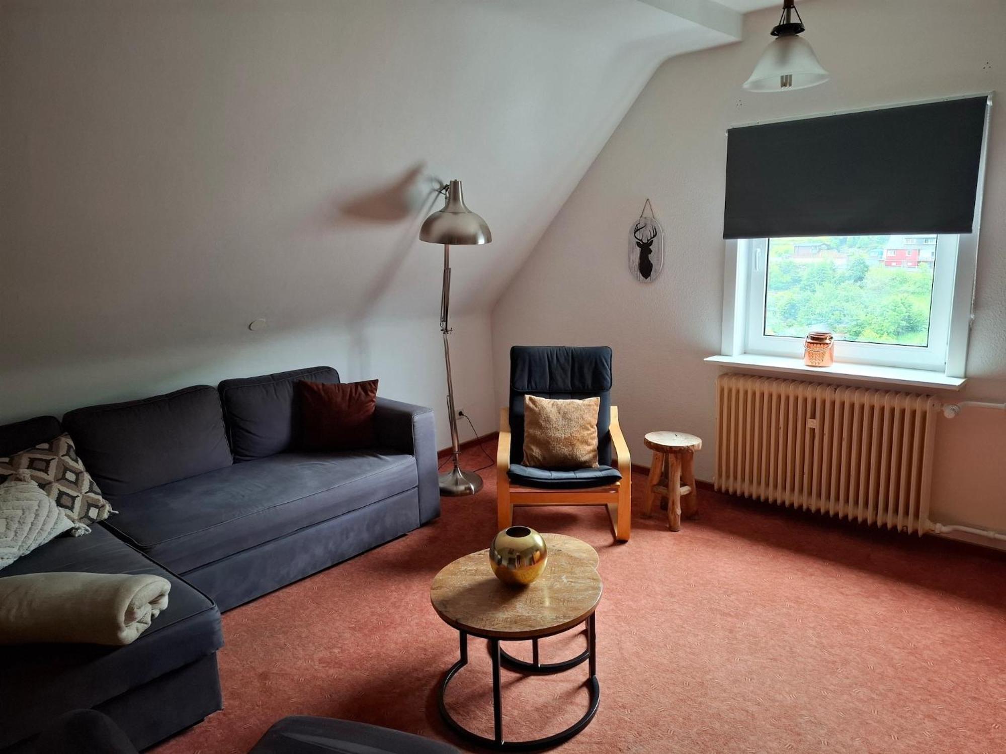 Ferienhaus Large In Willingen With Private Garden And Several Terraces Willingen (Upland)